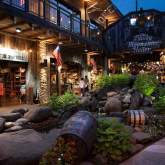 Downtown - Ole Smoky Holler