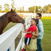 Kids with their dad feeding a horse at Tyrrell Park in Beaumont, TX