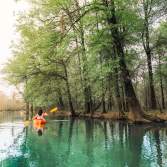 Person Kayaking In Big Thicket