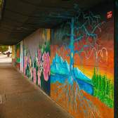 A tunnel full of different murals.