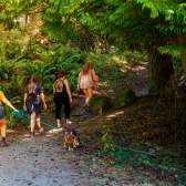 Four people walking a dog on a trail