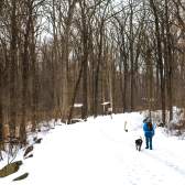 A person and their dog walking along a snowy trail through the winter forest