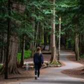 A person walking through a forest on a paved trail.