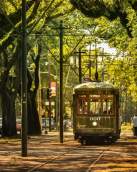 St. Charles Avenue Streetcar in Uptown New Orleans