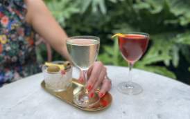 Columns Martini and Boulevardier Cocktails