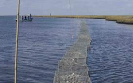 Coalition to Restore Coastal Louisiana - Oyster Shell Recycling Program Reef