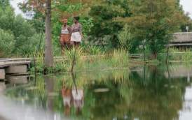 Exploring the Besthoff Sculpture Garden