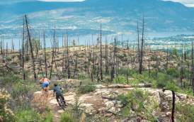 Mountain Biking Crawford Trails (Myra Bellevue Park) (2)