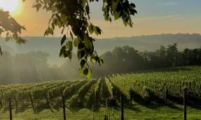 Sunrise over rolling countryside in Loudoun County, Virginia for Artist in Residence