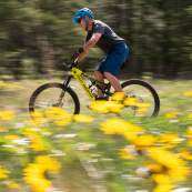 Spring 2025 Images: Mountain Biking at Knox Mountain Among Arrowleaf Balsamroot Flowers