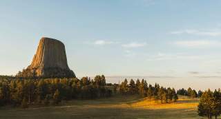 Devils Tower rising dramatically above a forested landscape under a clear sky in Wyoming.