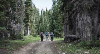 Hikers in a line along the Continental Divide Trail surrounded by scenic mountain views.
