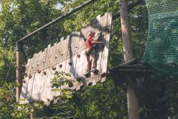 Wild Wood Adventure