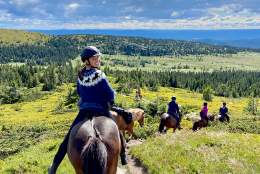 Horseback riding at Mesna