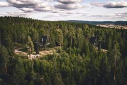 Dronebilde fra PAN Tretopphytter