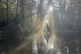 A gentle escape into art, light, and tranquillity. - The Sculpture Park