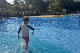 Splashing around at Stoke Park Paddling Pool