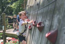 Children enjoying Wild Wood Adventure, in Guildford