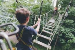 Children walking over rope bridges at Wild Wood Adventure, Guildford