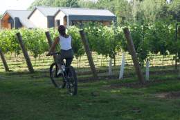 TGSW wine route