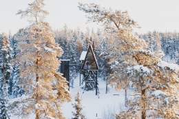 Drone photo from PAN Treetop Cabins