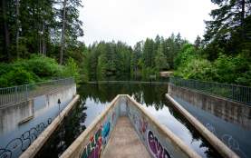 The dam at colliery dam park with water and trees.