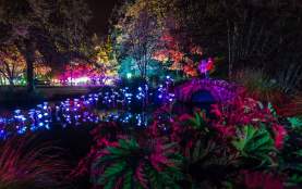 Colourful lights in the Queenstown gardens for Luma Light Festival