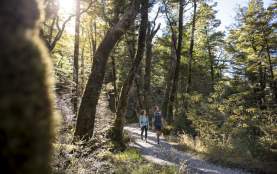 People walking through native bush on the Routeburn Track