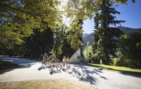 A family biking in the Queenstown Gardens