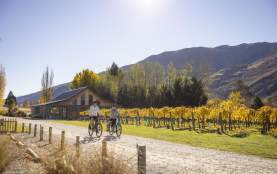 Two people biking next to vines in Gibbston