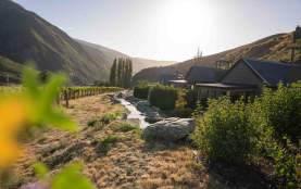 Villa's surrounded by a vineyard and mountains