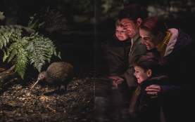 Family viewing a kiwi from behind glass