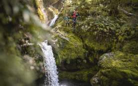 Man jumping off a waterfall surrounded by lush greenery