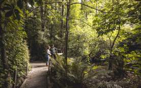 Two people surrounded by native bush at the kiwi park