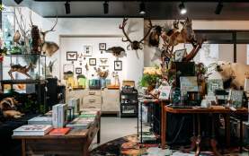 Flora Fauna Gift Store Queenstown