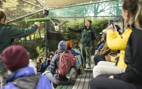 Queenstown Kiwi Park Conservation Show