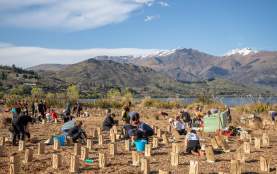 People planting next to a lake a mountains