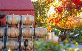 Barrels of wine stacked outside a rustic red building at Gibbston Valley Winery, surrounded by vibrant autumn foliage in warm orange and yellow hues.