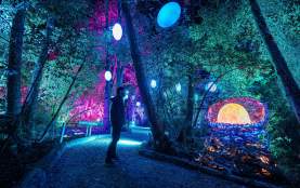 Luma Enchanted