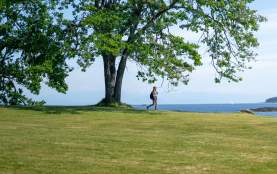 A person walking away from a tree.