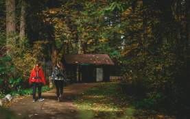 Two people walking on a dirt path under trees towards a training shack.