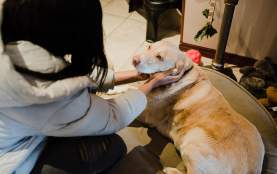 Grand Hotel 10 prt.jpg