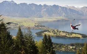 Man ziplining in spring with Ziptrek Eco Tours