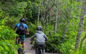 A father and son biking on a gravel path in a forest.
