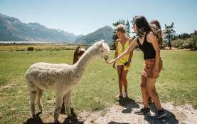 Visiting the Glenorchy Animal Experience with Queenstown Expeditions