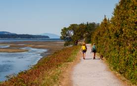Two people with backpacks walk a dog along a coastal dirt path beside the ocean.