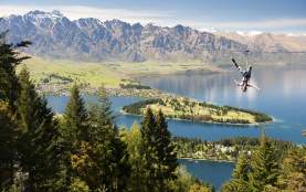 Ziptrek Ecotours