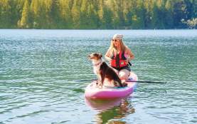 A dog on a paddleboard with their owner.