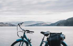 Okanagan Rail Trail Pedego Oyama