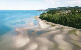 Ariel Photo of Blueback Beach when the tide is low, and the beach is full of soft sand.